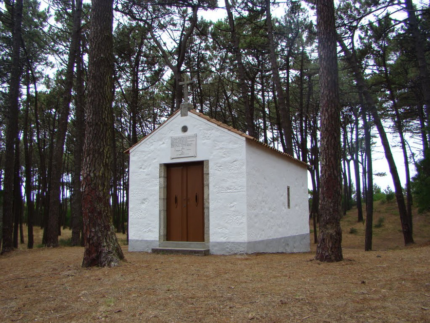Mata Nacional do Camarido
