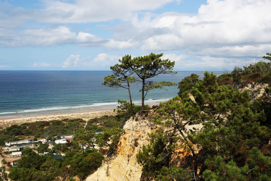 fonte da telha