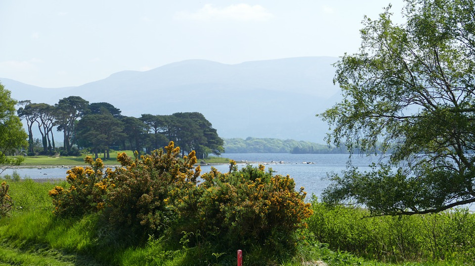 Parque Nacional Killarney