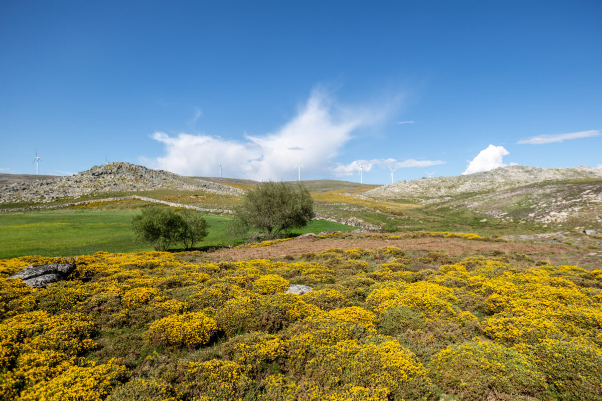 Serra da Freita