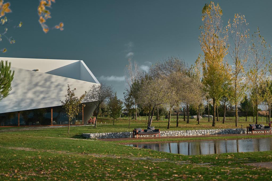 L’AND Vineyards