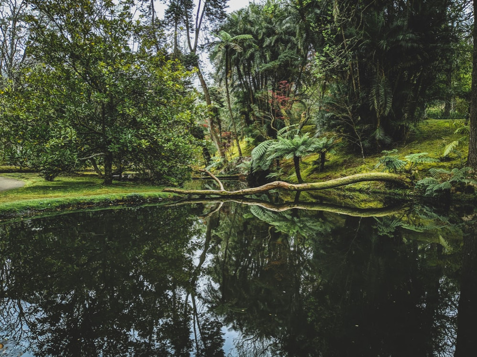 Parque da Terra Nostra