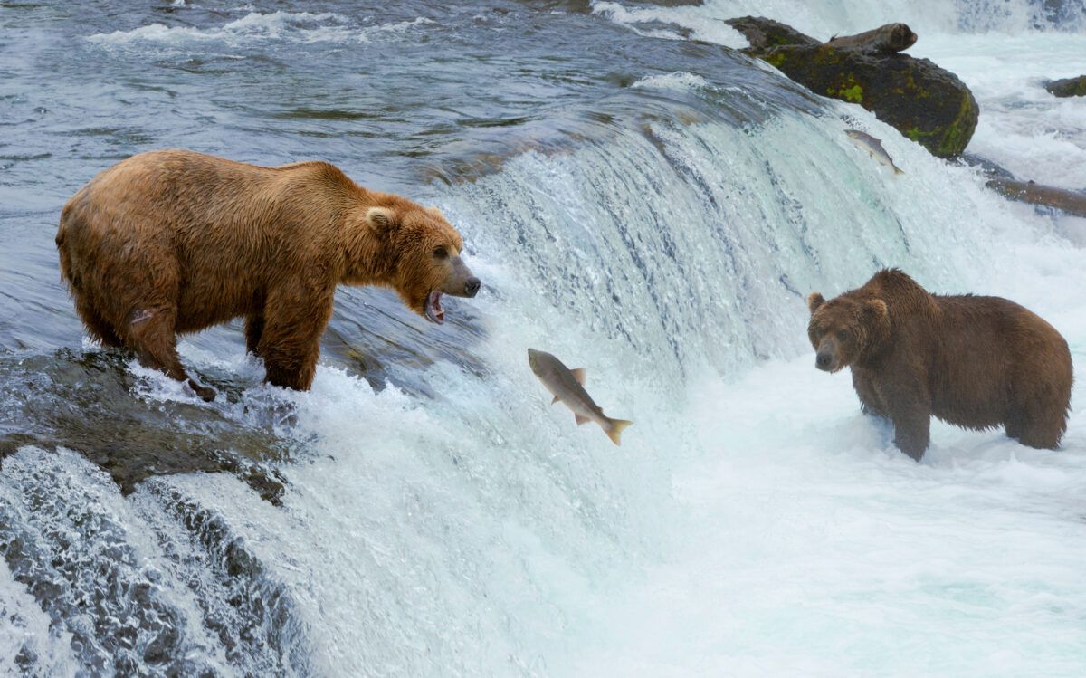 Katmai National Park