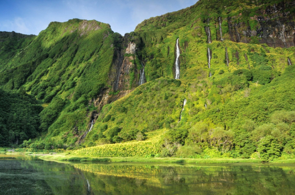 Flores (Açores)