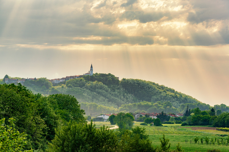 Vale de Vipava (Eslovénia)