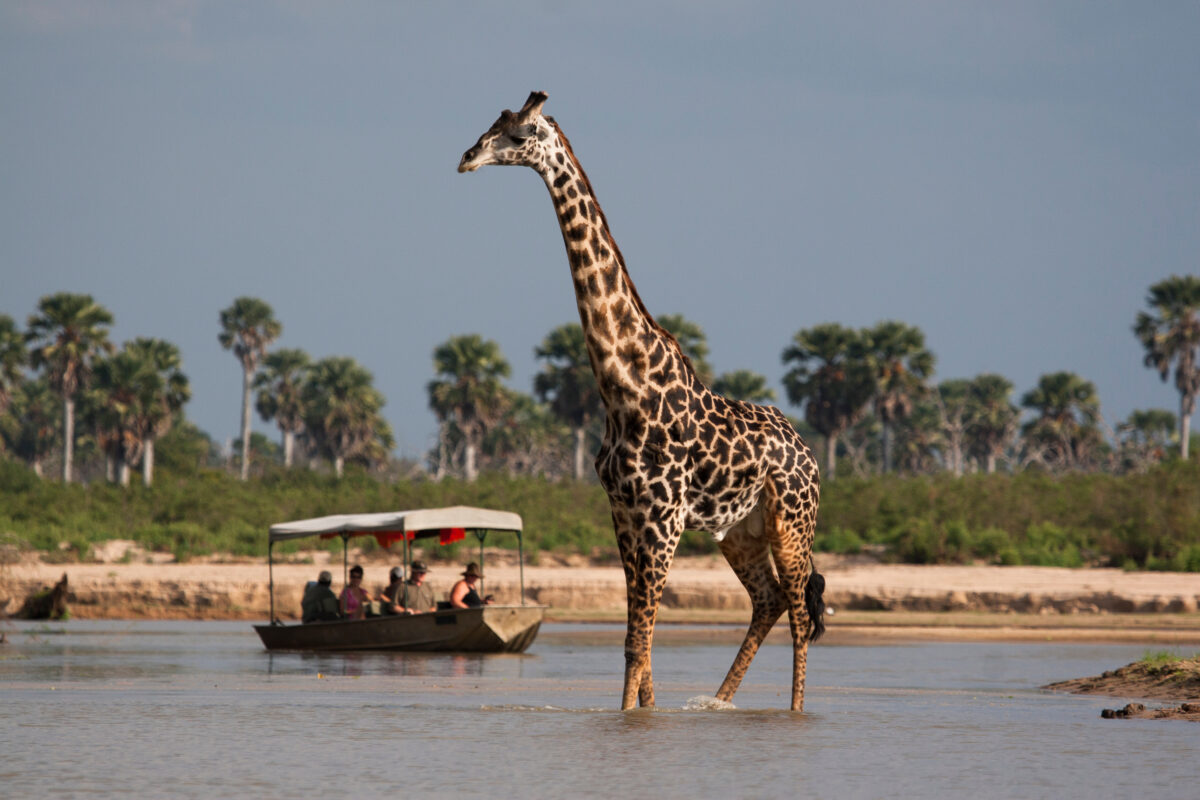Segredos de África – 5 destinos escondidos para visitar