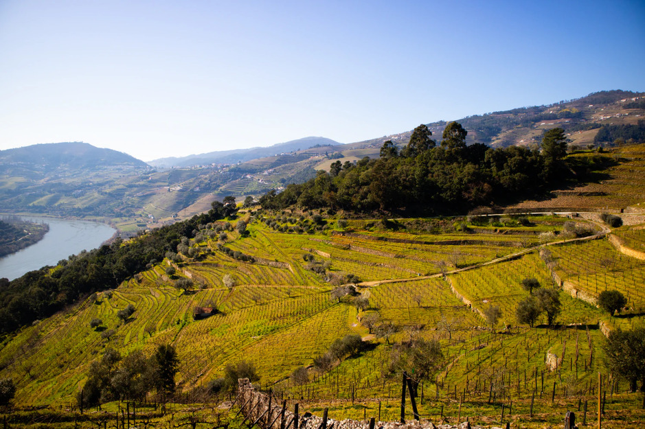 douro: rota do enoturismo