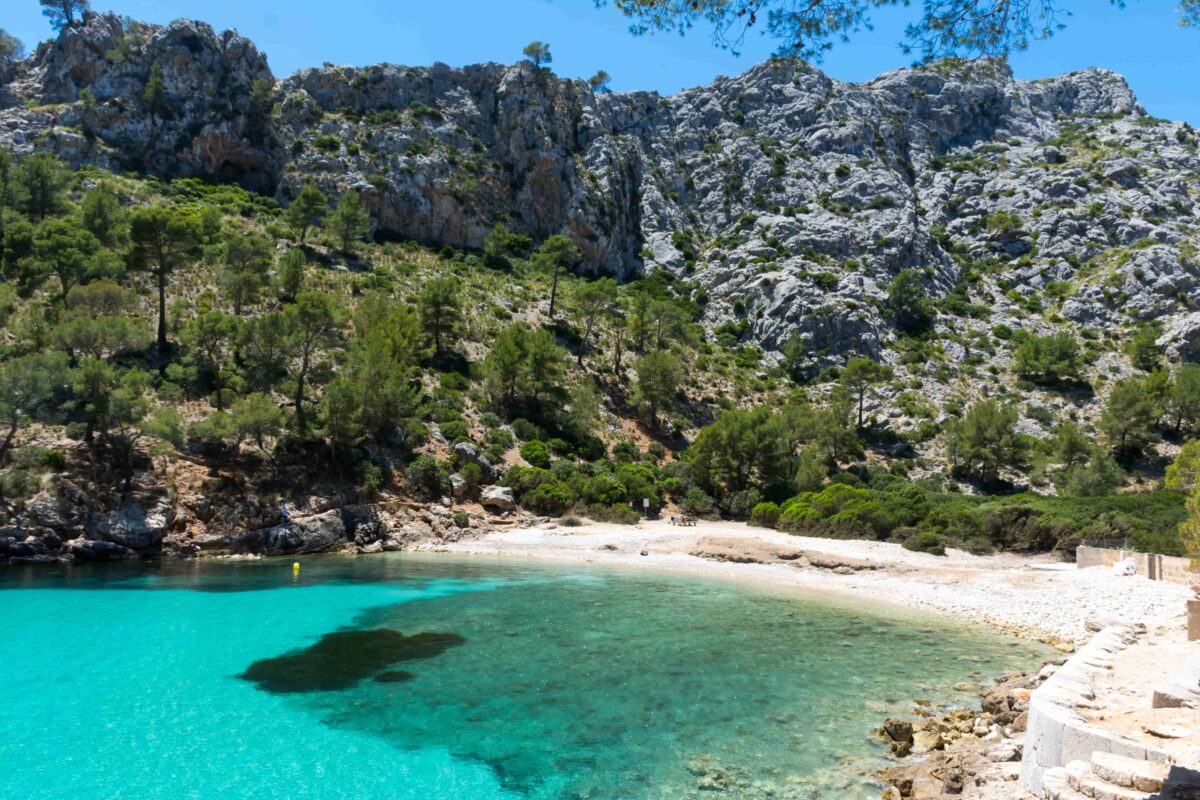 Maiorca