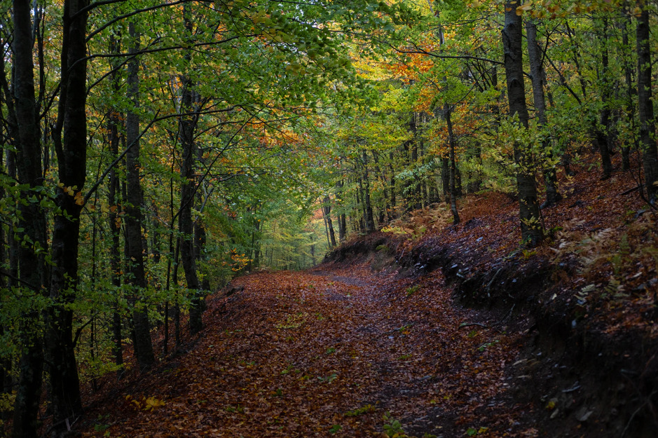 Parque Natural da Serra da Estrela
