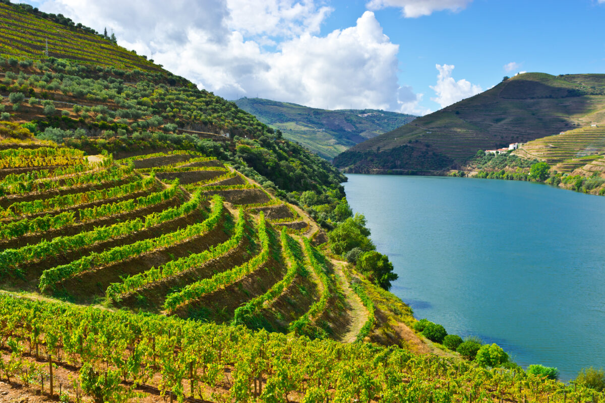 Região do Douro