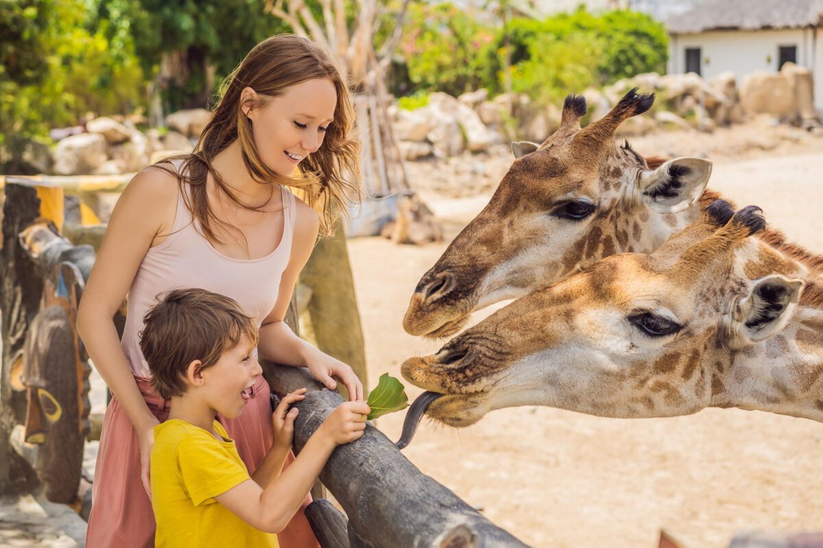 Zoo Santo Inácio | Vila Nova de Gaia