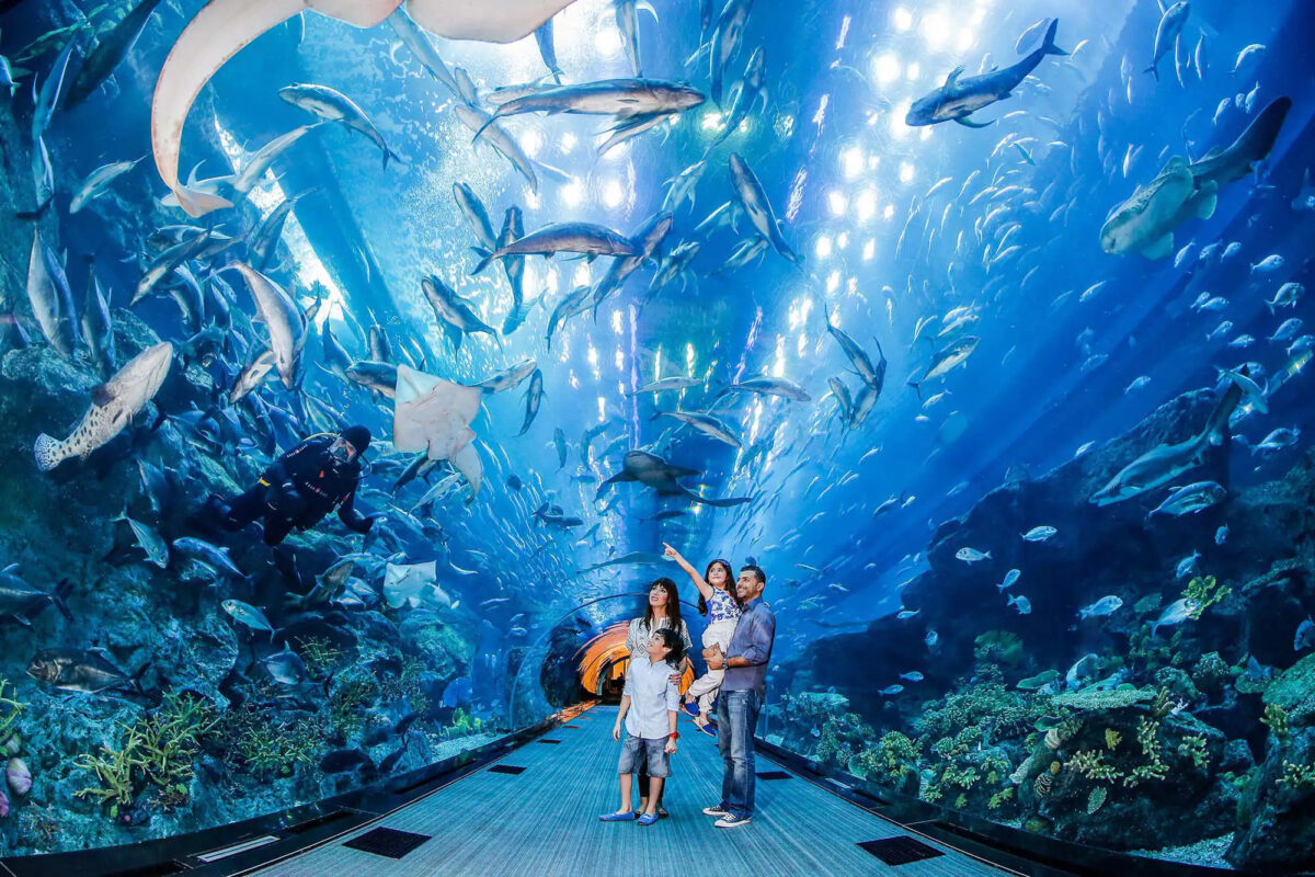 Aquário e Zoo Subaquático, Dubai