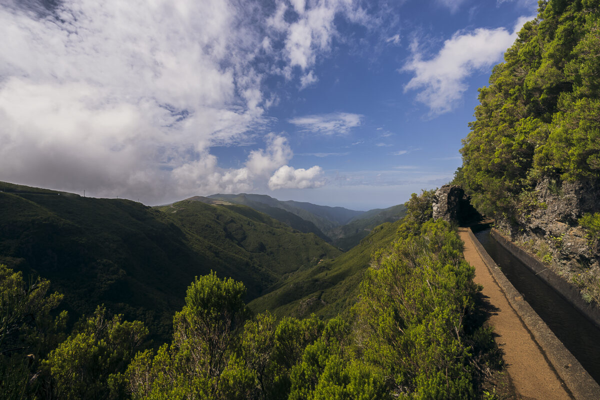 Levada do Alecrim