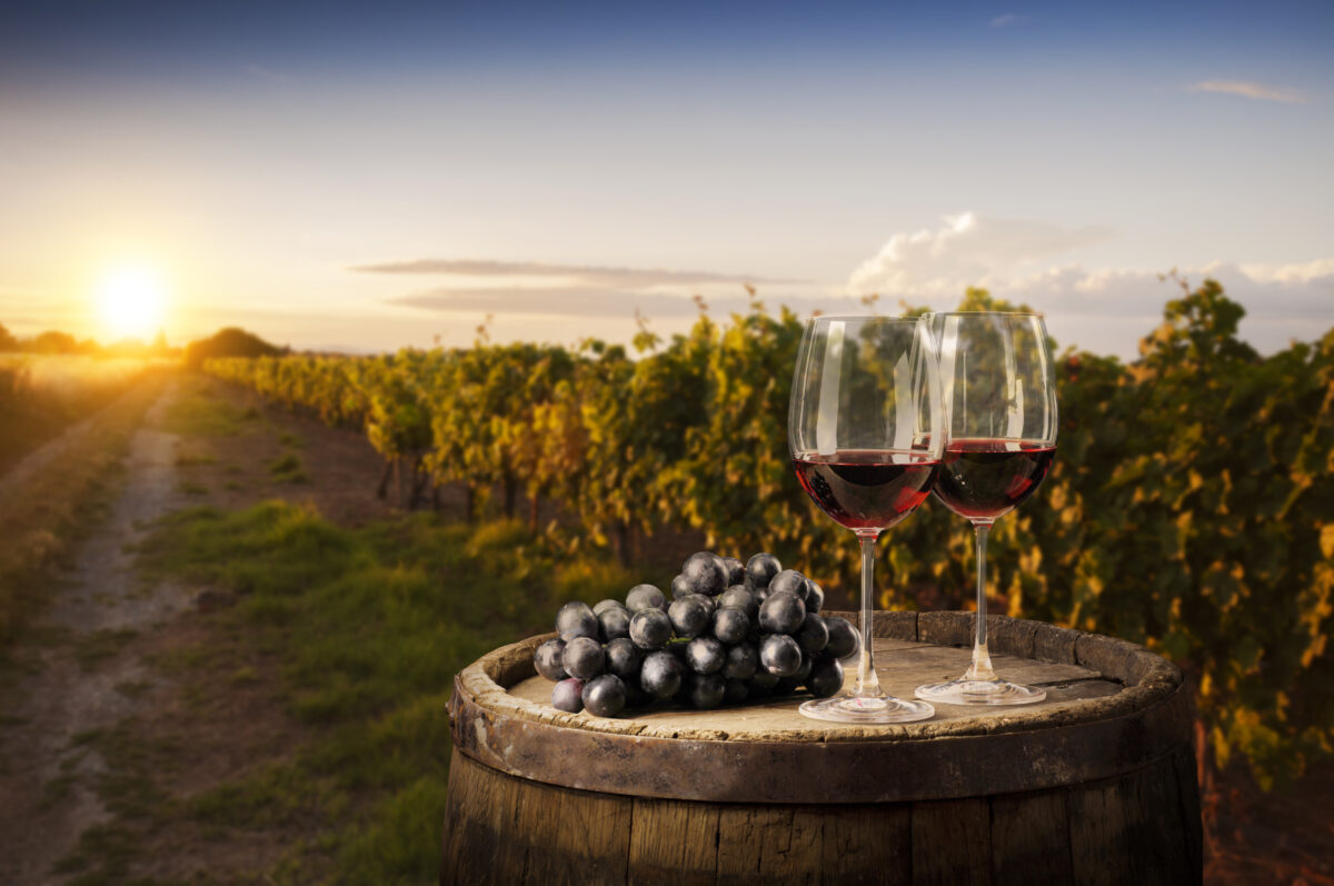 amantes de vinho