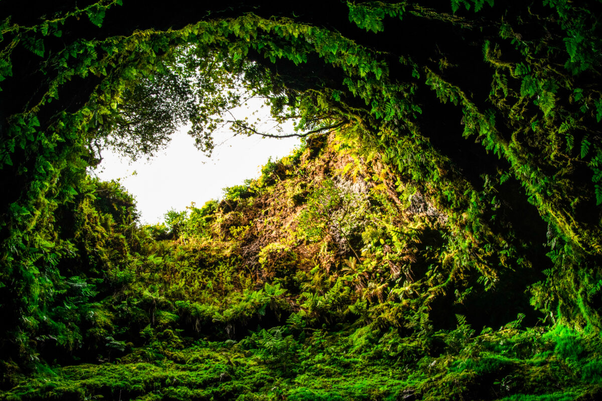 Algar do Carvão