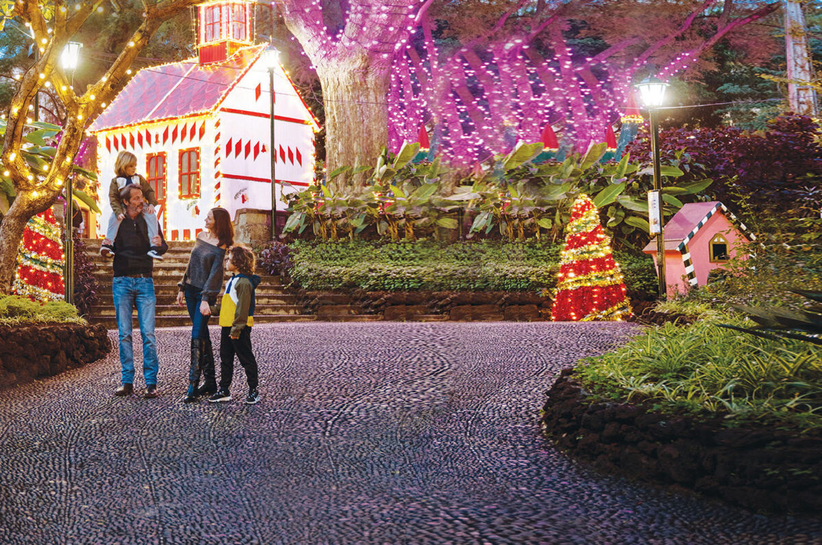 Ilha da Madeira – 6 razões para visitar a Madeira em dezembro