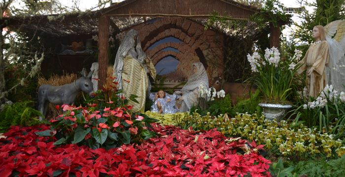 Ilha da Madeira – 6 razões para visitar a Madeira em dezembro