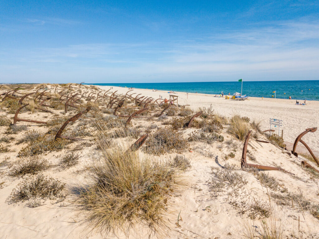 Praia da Terra Estreita