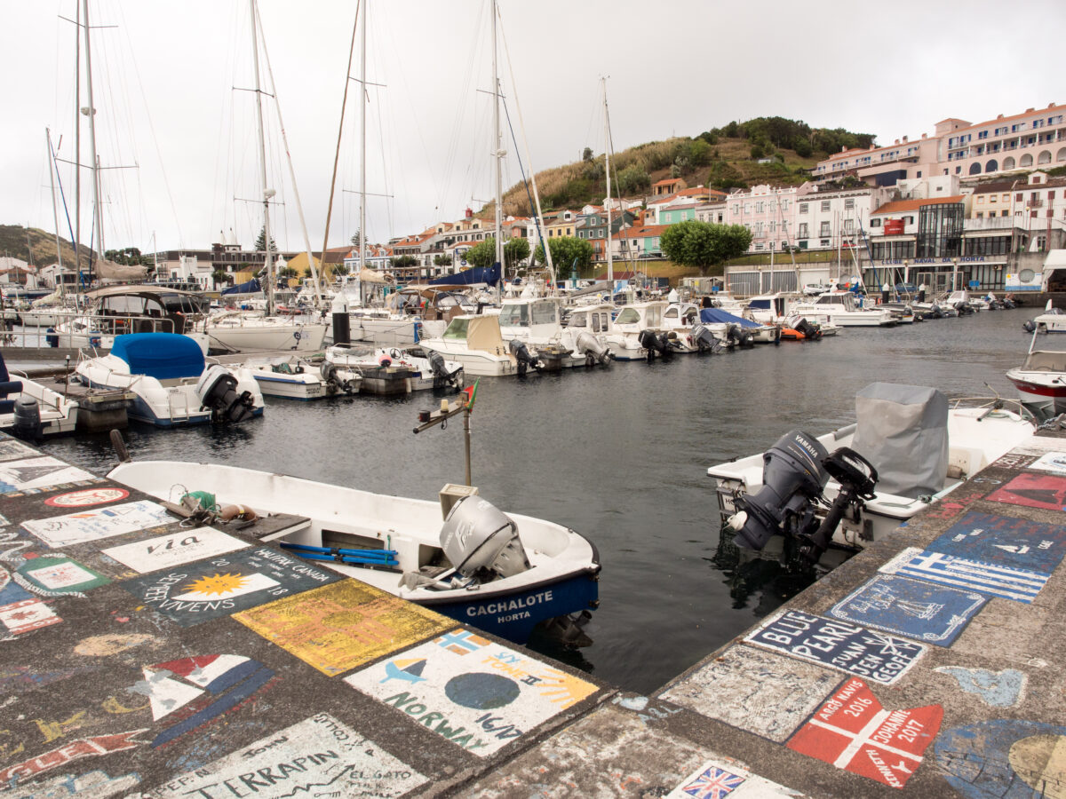 o melhor do faial, marina da horta