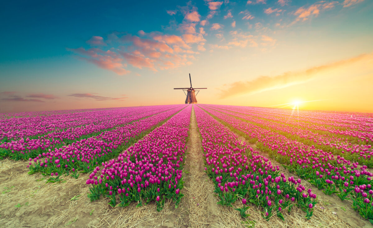 Destinos para viajar na Primavera: Países Baixos