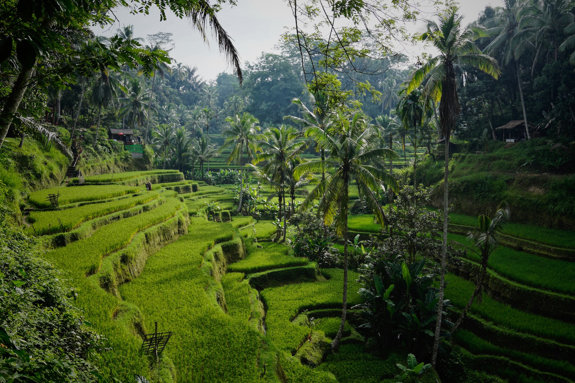 bali, indonésia