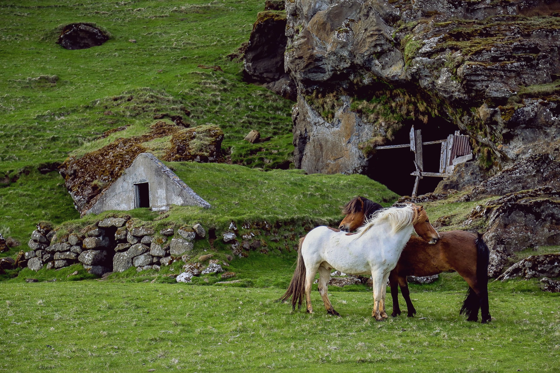 islandia