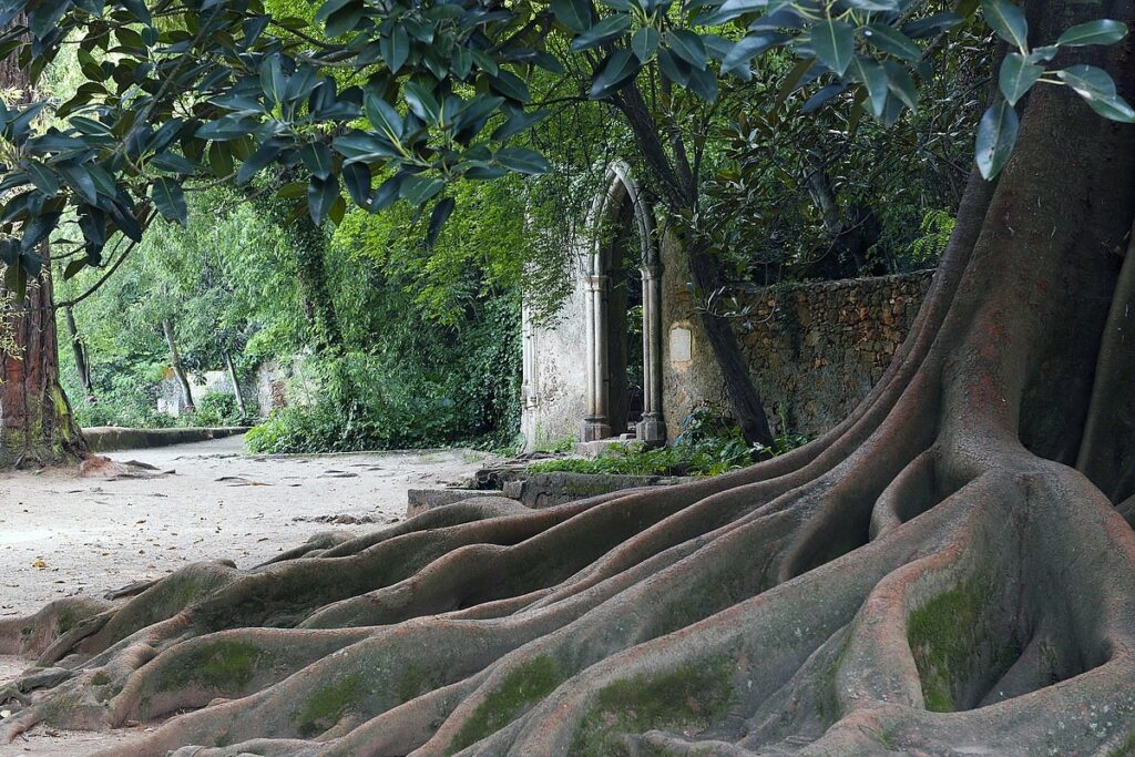 halloween: 7 locais assombrados para visitar em portugal
