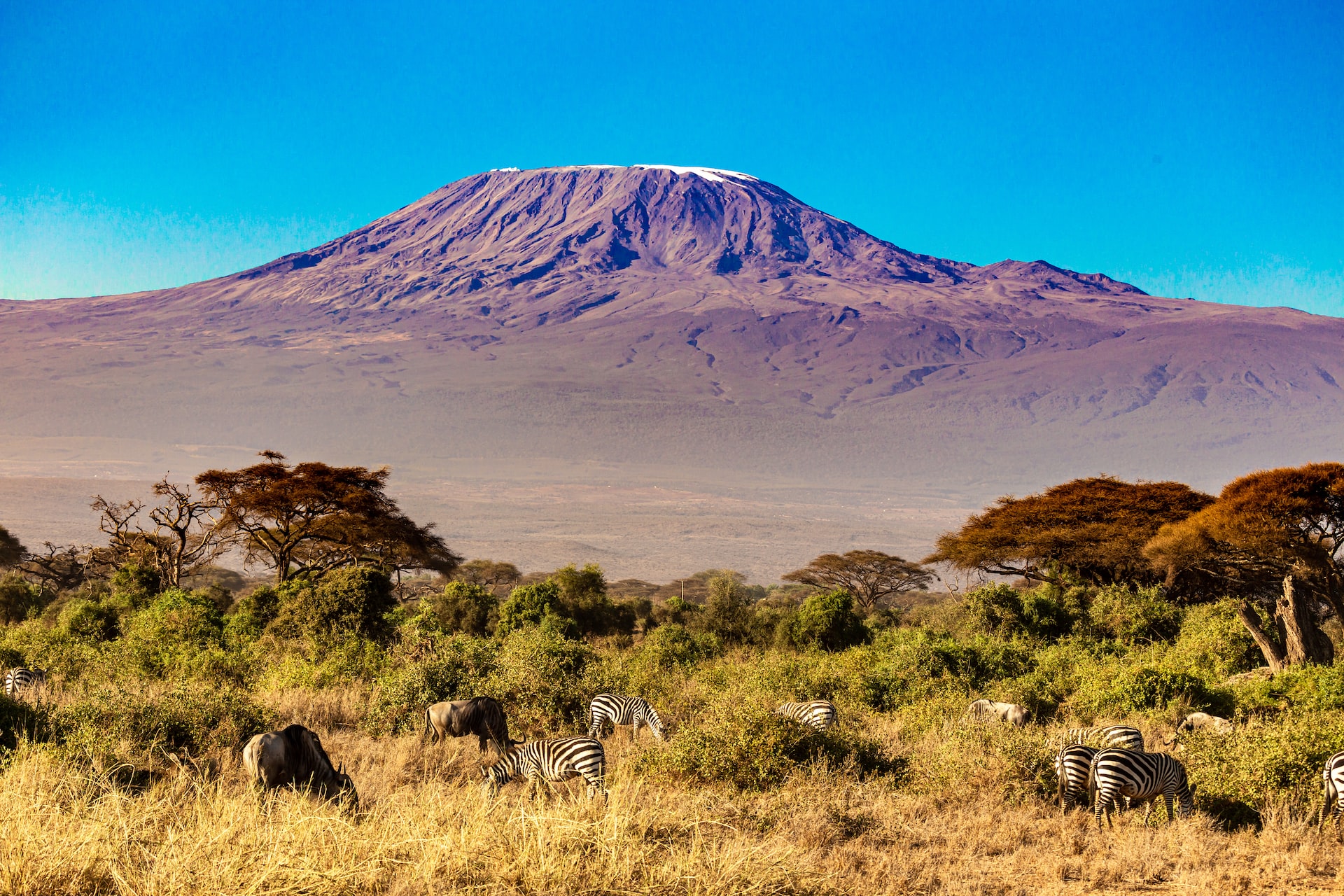 monte kilimanjaro, tanzania