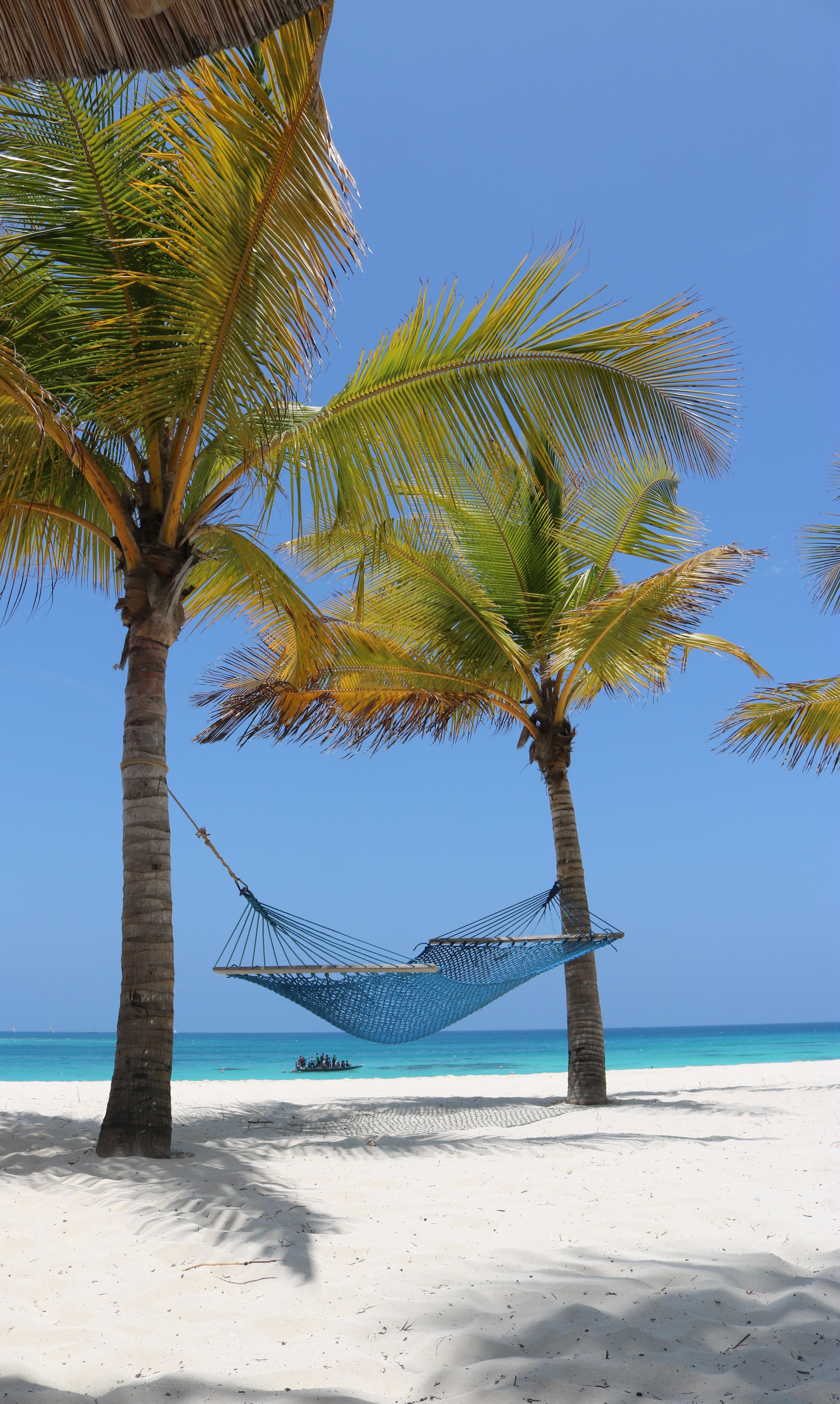 onde encontrar a felicidade? zanzibar é a resposta