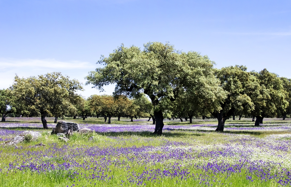 10 passeios em portugal para fazer no inverno