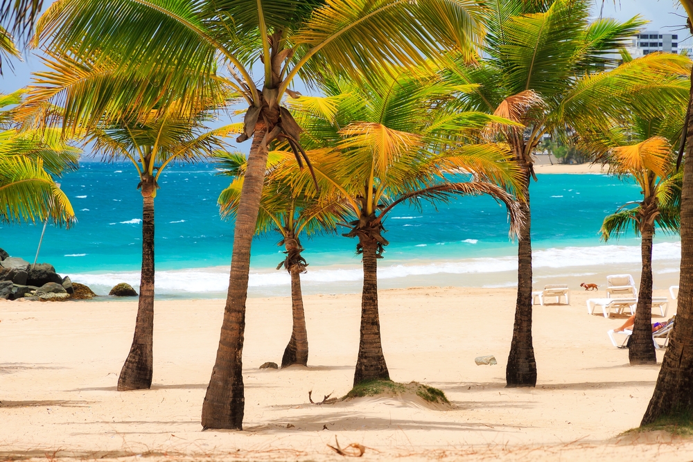 Porto Rico