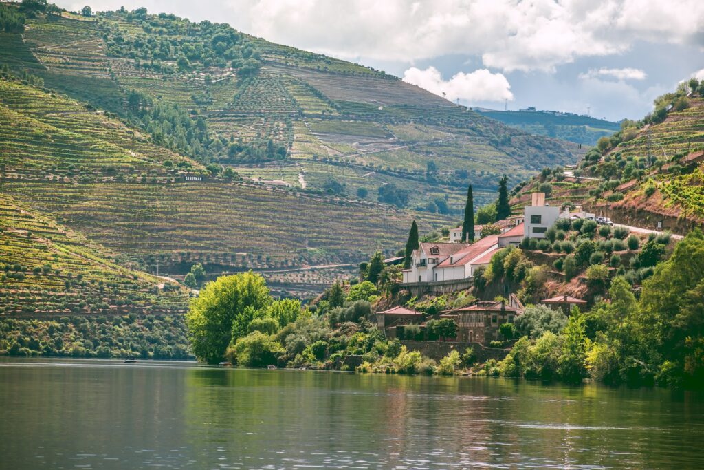 Douro Vinhateiro