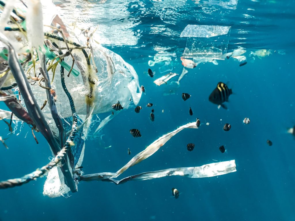 reduzir os plásticos, dicas para preservar os oceanos