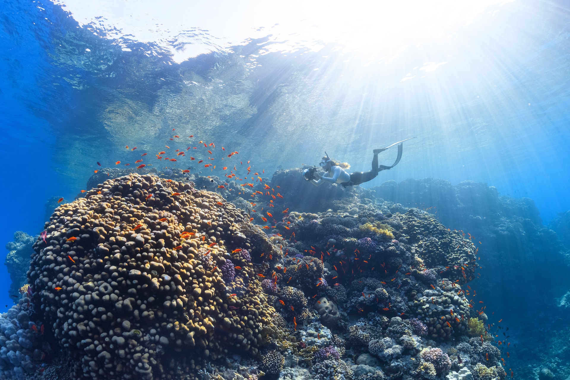 Dia Mundial dos Oceanos: 8 dicas para os preservar