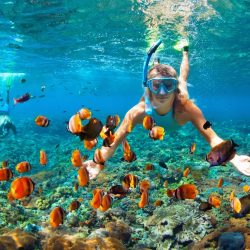 Top 7 destinos do mundo para snorkeling