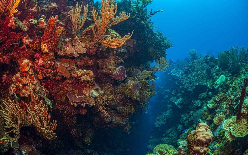 Top 7 destinos do mundo para snorkeling