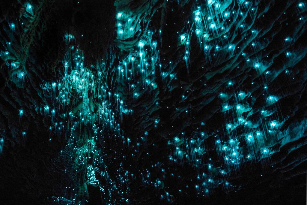 Caverna Waitomo Glowworm, Nova Zelândia
