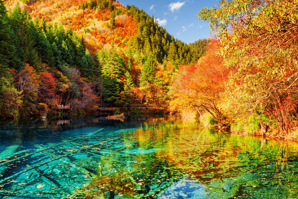 Os sítios mais bonitos para viver as cores do outono