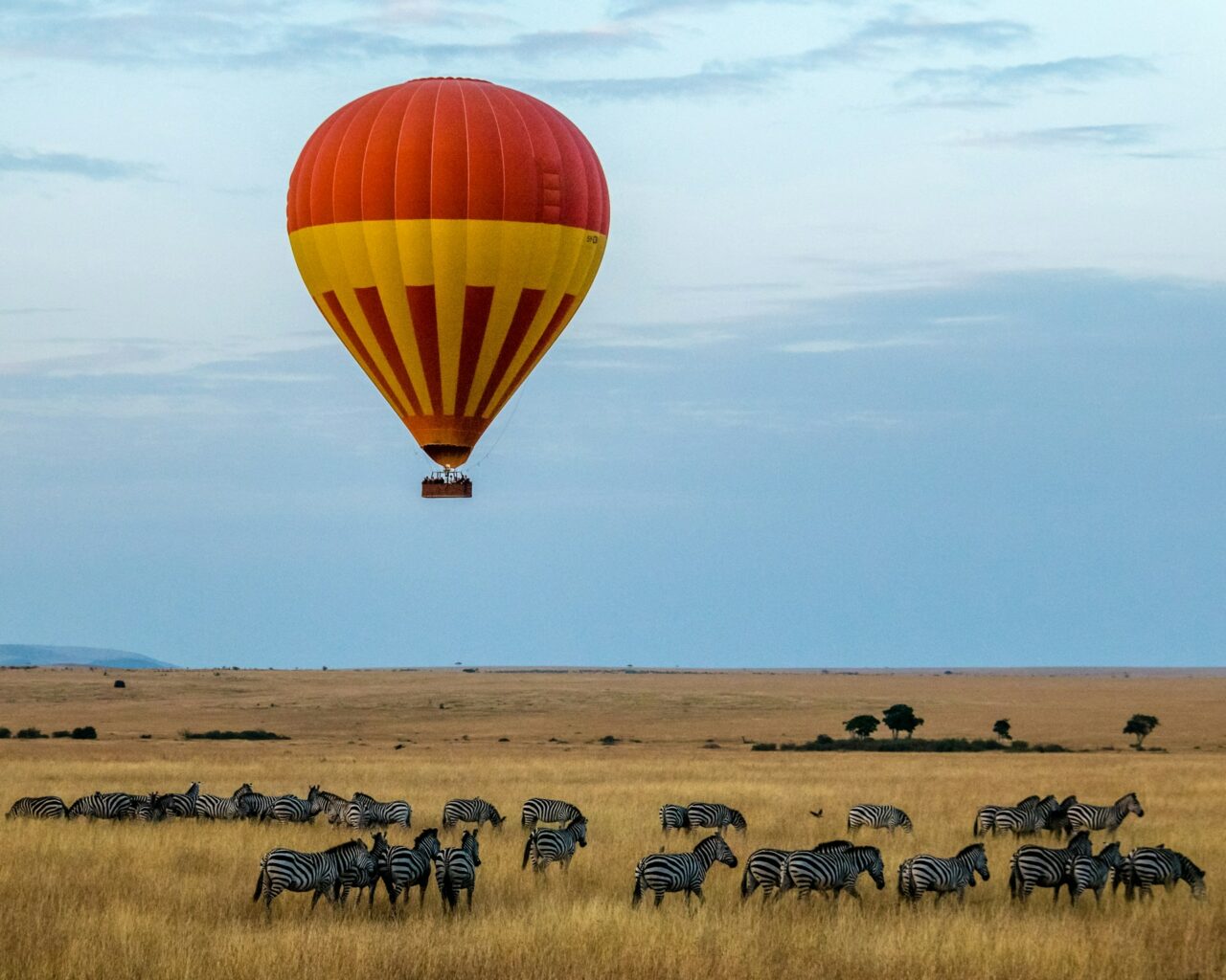 balão de quente num safari, melhores locais para um pedido de casamento perfeito