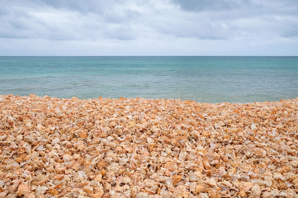 Praia Cemitério das Conchas, Paraíso, Ilha do Sal, Cabo Verde