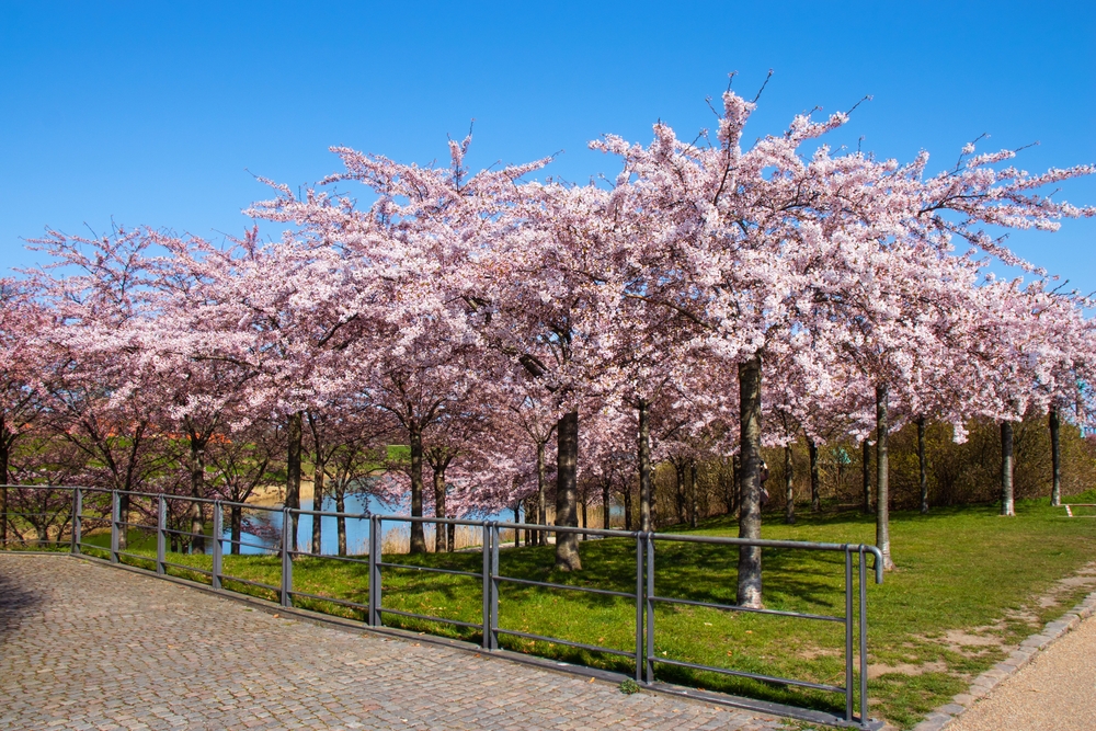 6 cidades a não perder na Primavera