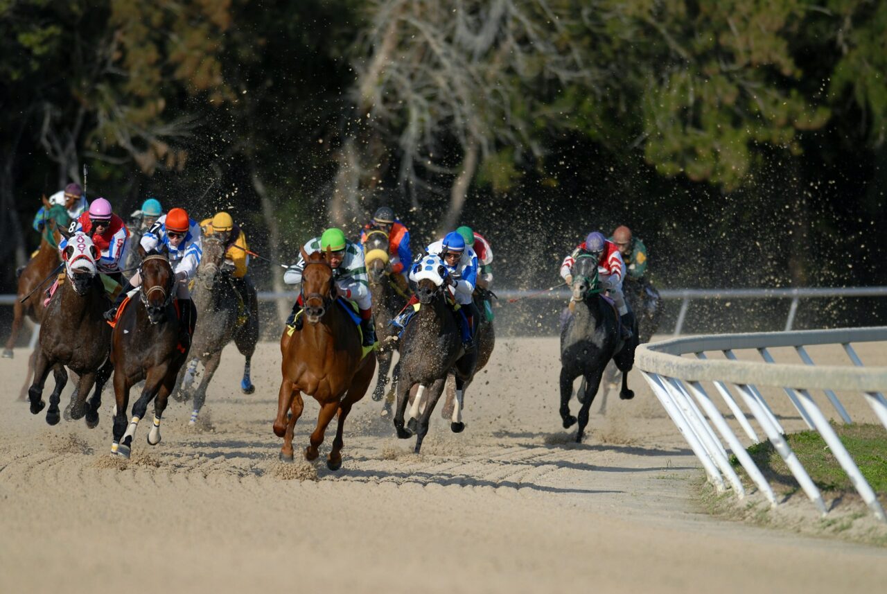 corrida de cavalos, porque chamam de big apple a nova iorque