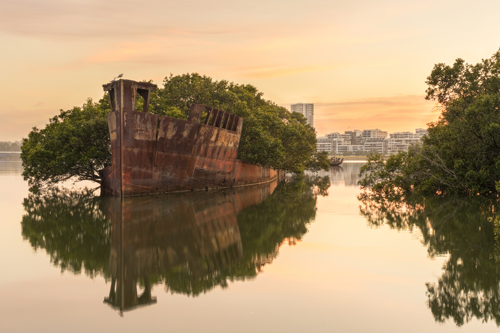 SS Ayrfield, Austrália