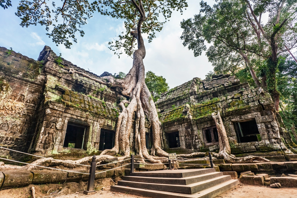 8 lugares invadidos pela natureza (que ficaram ainda mais bonitos!)