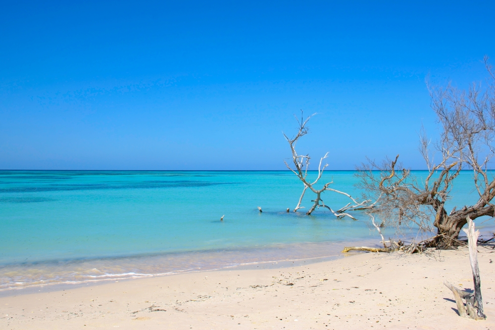 Cayo Jutias, Cuba