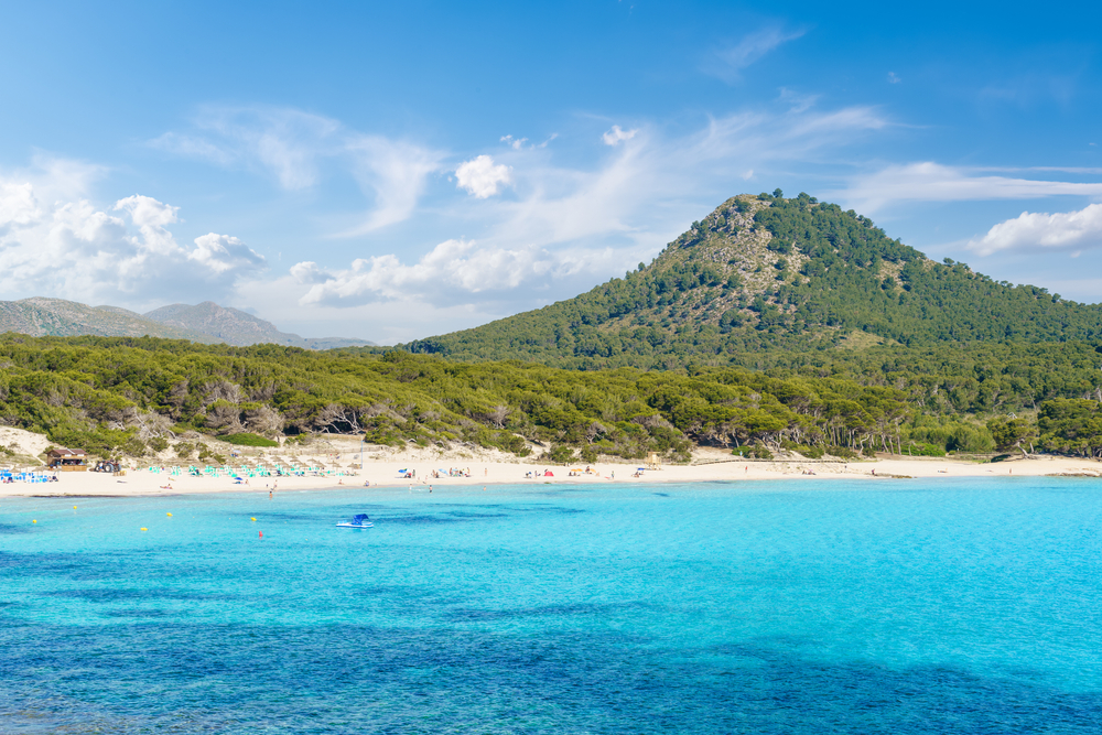 Cala Agulla, Maiorca