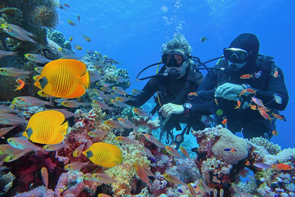 Mergulho na Grande Barreira de Corais, Austrália, emoções fortes em viagens