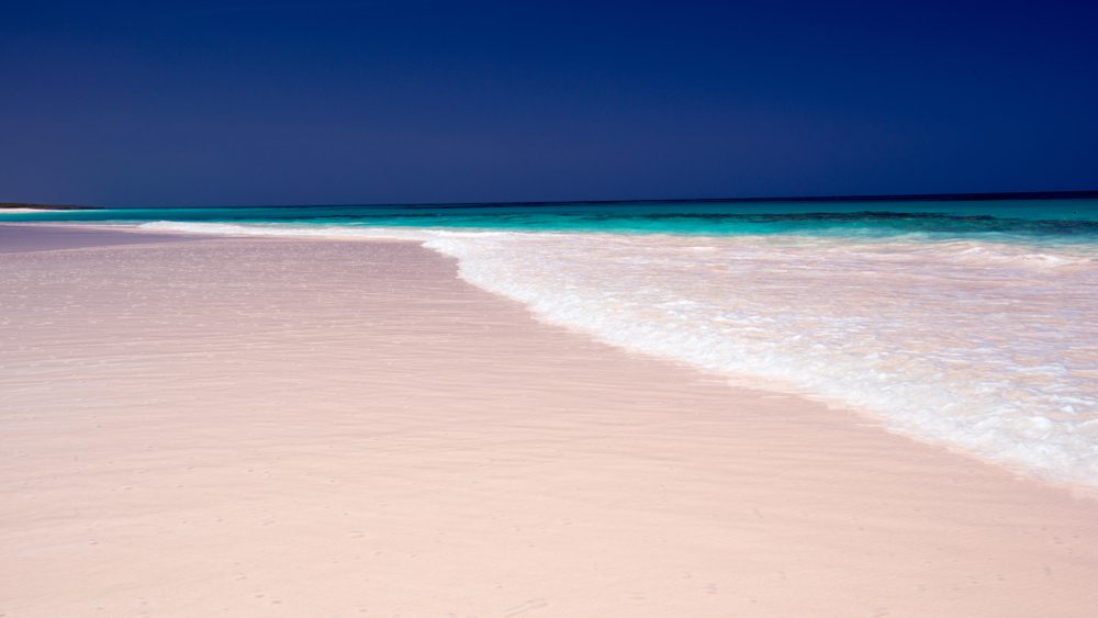 Pink Sands Beach / Foto de Finepic / Shutterstock