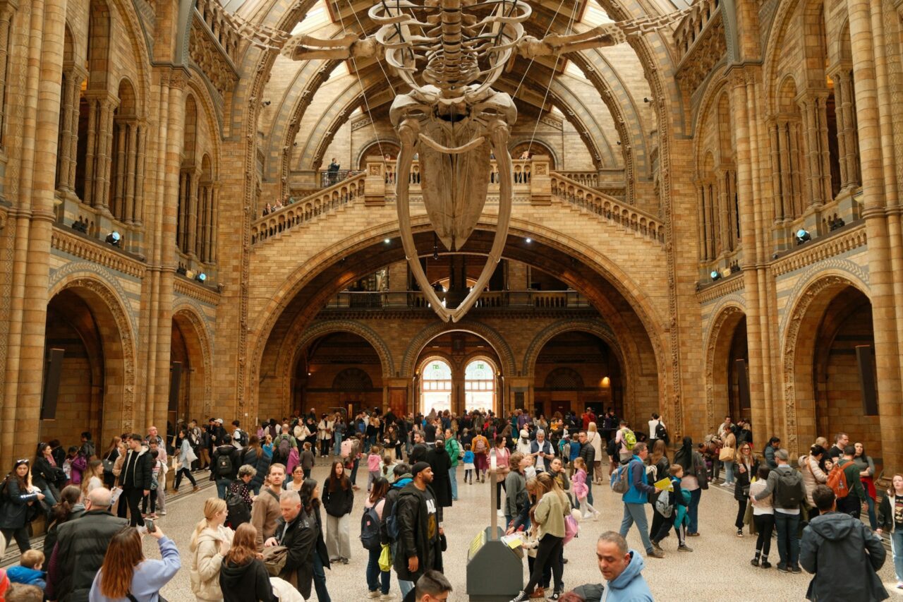 Museu de História Natural, 15 dicas que precisa mesmo de saber antes de visitar Londres