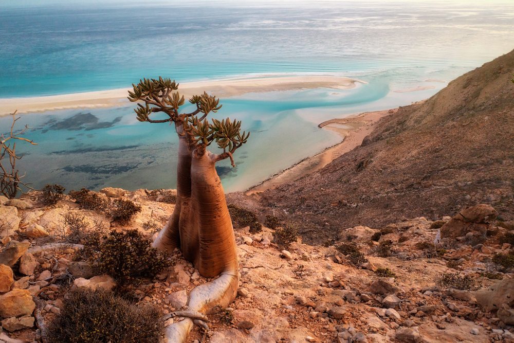 Socotra – Um paraíso desconhecido no Iémen